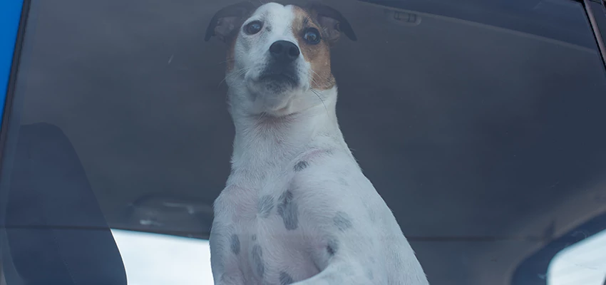 Car Lockout Solutions in Woodland, California