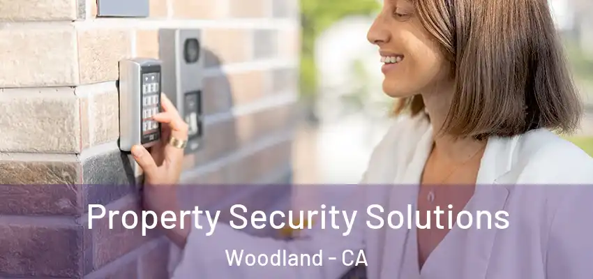  Property Security Solutions Woodland - CA